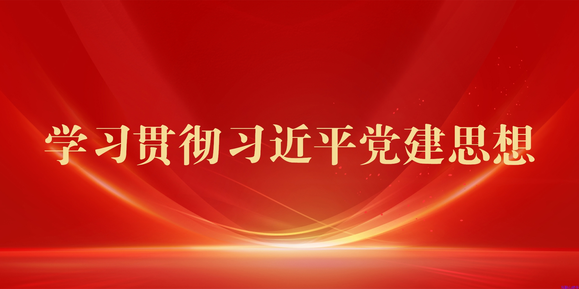 学习贯彻习近平党建思想